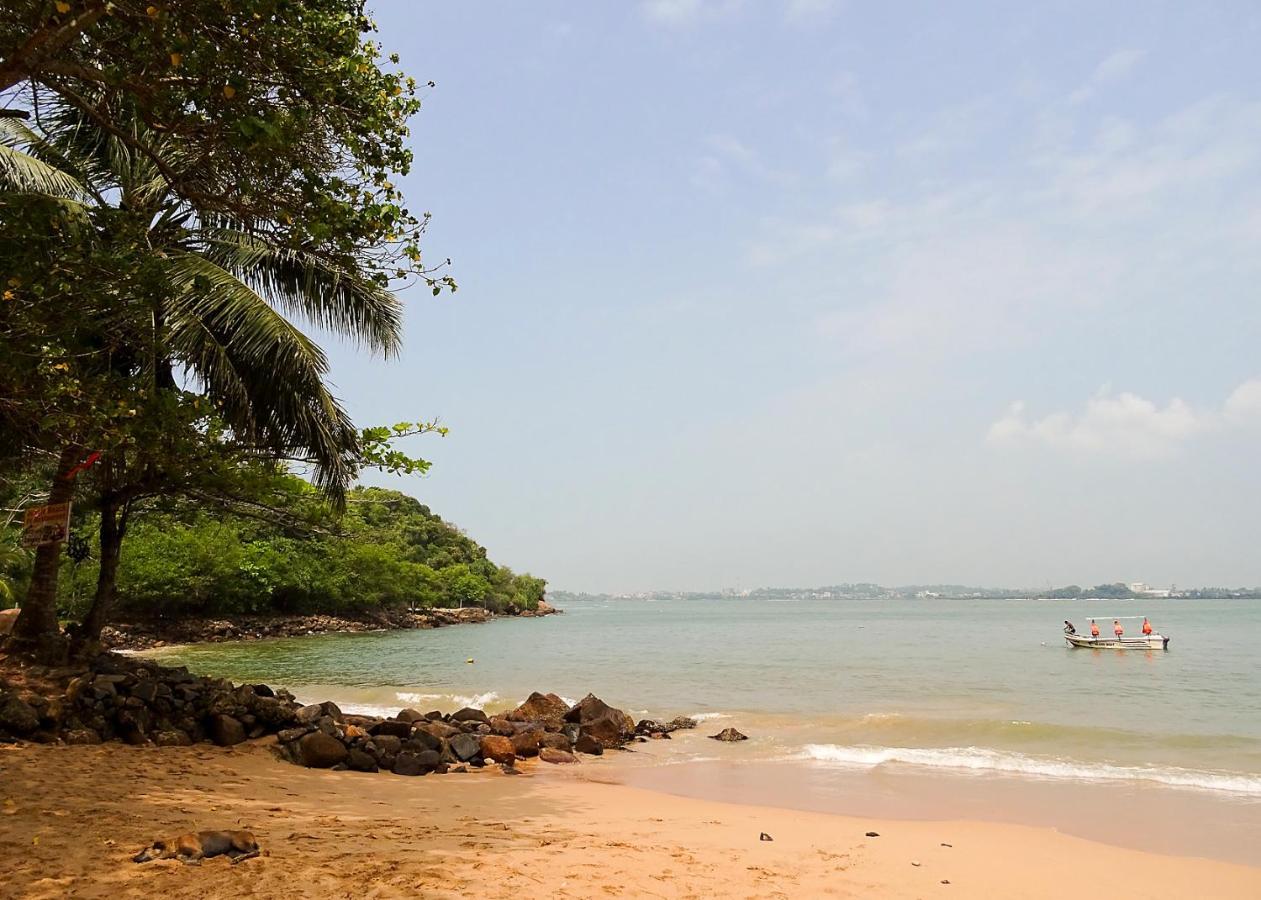 Pineview Hotell Unawatuna Exteriör bild
